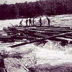Log floating in Pasvik River.jpg